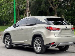 Xe Lexus RX 300 2021