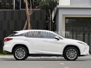 Xe Lexus RX 300 2021