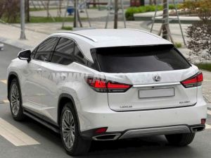 Xe Lexus RX 300 2021