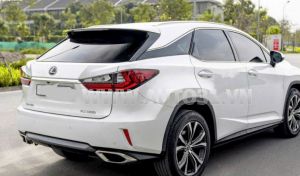Xe Lexus RX 350 2019