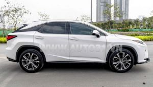 Xe Lexus RX 350 2019