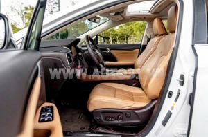 Xe Lexus RX 350 2019