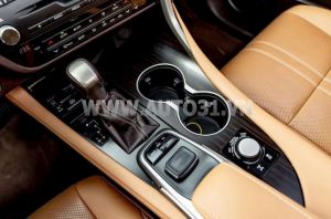 Xe Lexus RX 350 2019